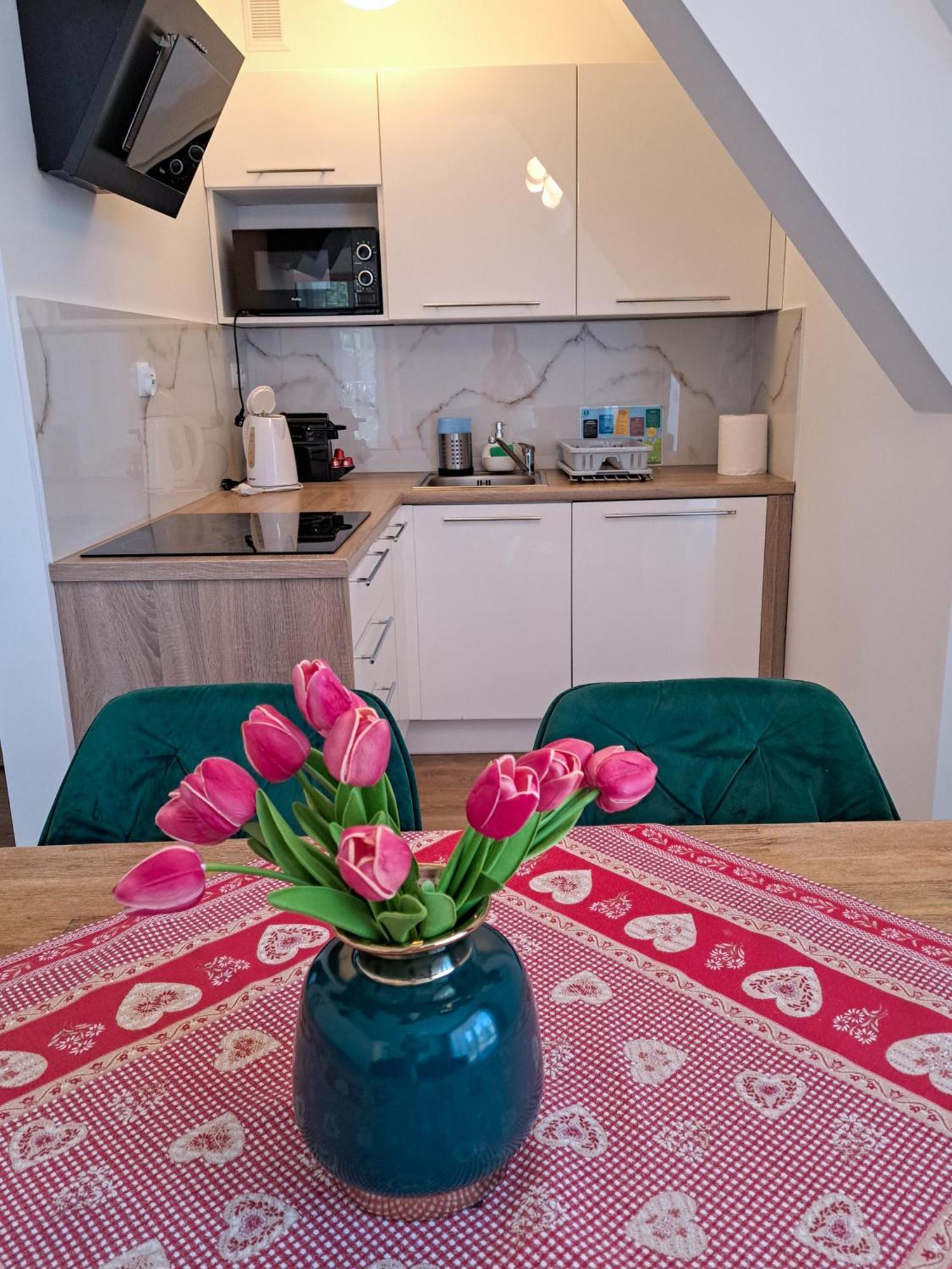 Bory6A Apartamenty & Free Parking Zakopane Buitenkant foto